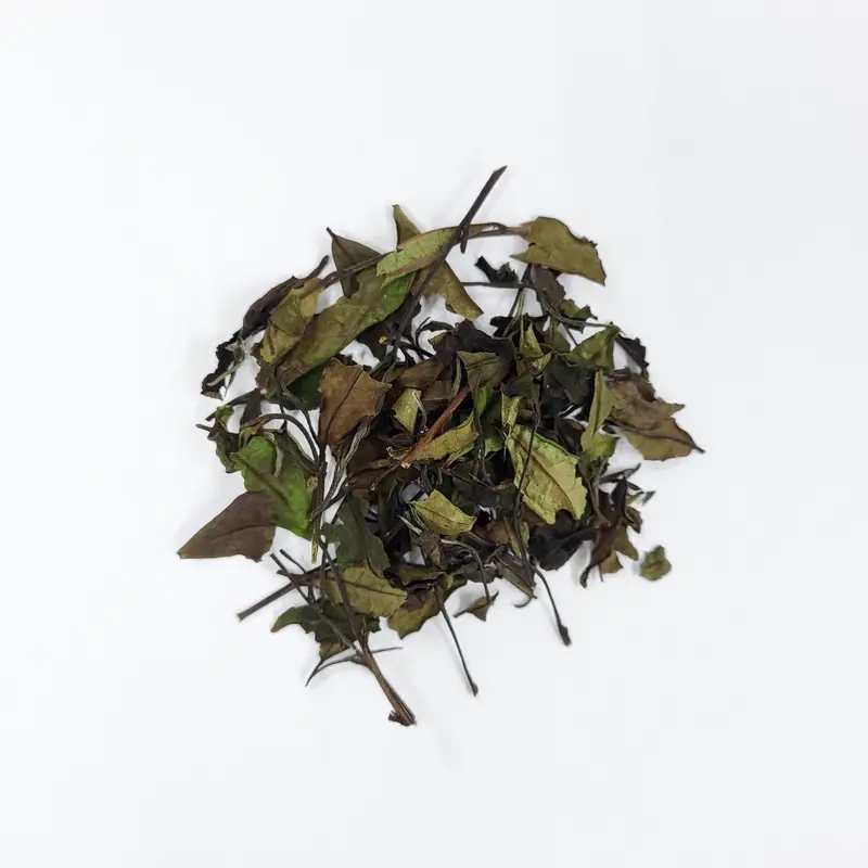 #0107.K6 Azuma Tea: Experimental Samidori White Tea – Spring-Harvested, Naturally Cultivated In Kyoto 1