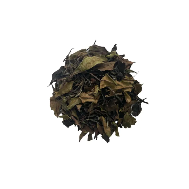 #0109.K6 Azuma Tea: Experimental Yamato Midori White Tea – Naturally Grown Spring Harvest From Kyoto 1