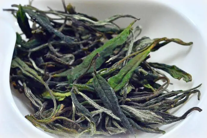 Bizenya Haru White Tea – Hand-Picked Fukumidori Cultivar From Sayama 1