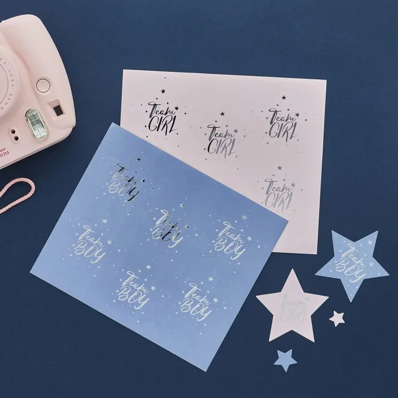 Blue And Pink 'Team Boy' And 'Team Girl' Sticker Set (24-Pack) 1
