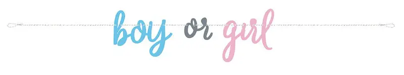 Gender Reveal Celebration Banner – 7-Foot Horizontal Display 1
