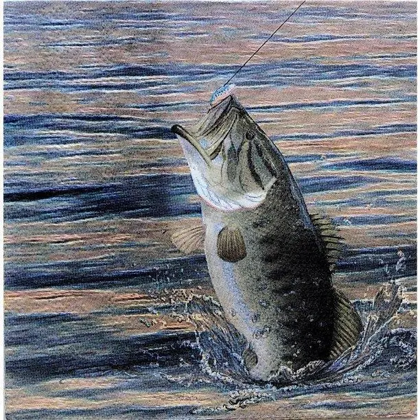 'Gone Fishin’ Beverage Napkins – Pack Of 16 1