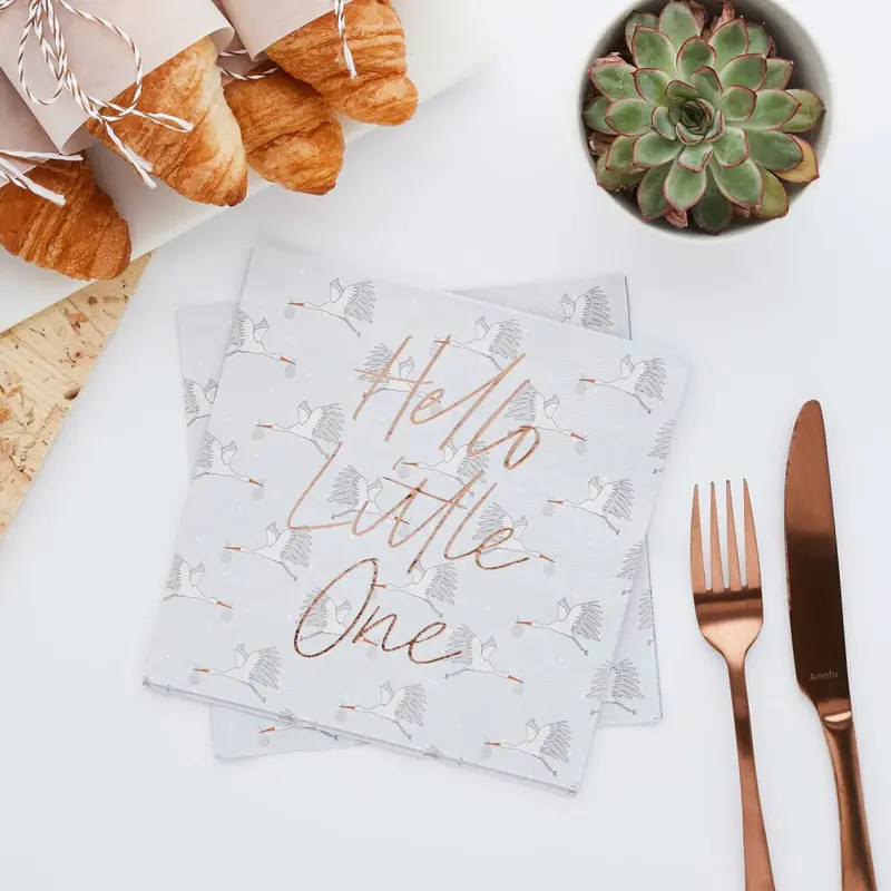 'Hello Little One' Baby Shower Napkins – 20-Piece Pack 1