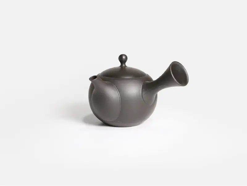 Jinsui Kiln Iroiro Kyusu: Matte Black Tokoname Tea Pot (290Ml) 1