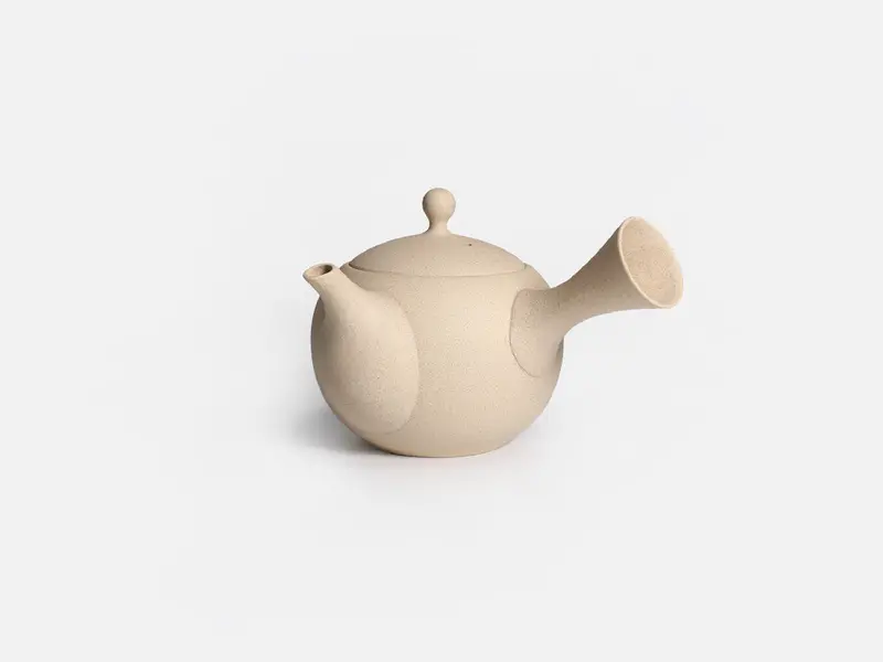 Jinsui Kiln Iroiro Kyusu: Natural-Tone Tokoname Tea Pot (290Ml) 1
