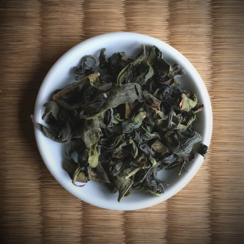Miyazaki Sabou Oolong Tea – Naturally Cultivated Saemidori Single-Cultivar 1
