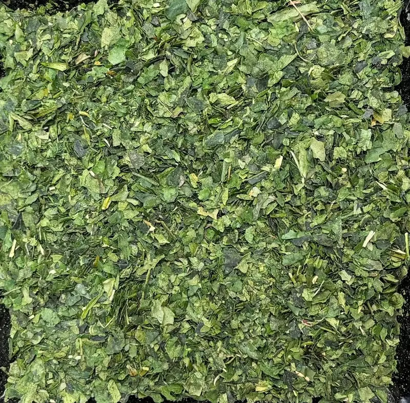 Nishio No Aji Yahagi Tencha – Okumidori Blend For Premium Ceremonial Matcha 1