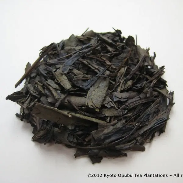 Obubu Hojicha Ky011 – Lightly Roasted Japanese Green Tea 1