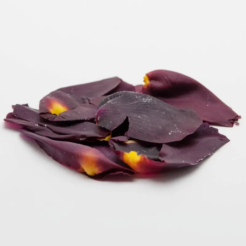 Okuizumo Rose Petal Herbal Tea #0555.S4 — Sahime Cultivar ‘Rose Princess’ Infusion 1