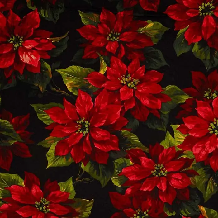 Scarlet Poinsettia 108-Inch Wide Backing Fabric 1