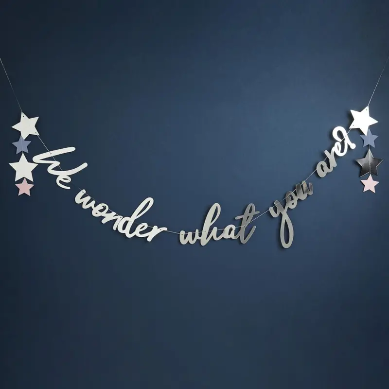Silver And Blue 'We Wonder What You Are' Gender Reveal Banner 1