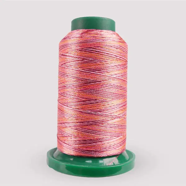 Summer Berries Multicolor Variegated Embroidery Thread (1000M, Code V107) 1