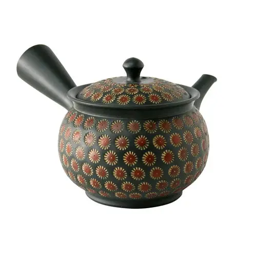 Teruyuki Kiln Takumi101 Tokoname Kyusu — 160 Ml Flower-Embossed Ironware Tea Pot 1