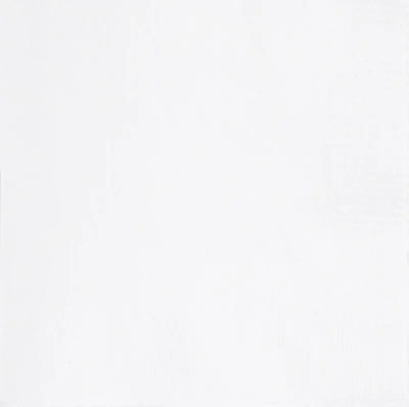 White Lunch Napkins – 100-Count, Everyday Value Pack 1