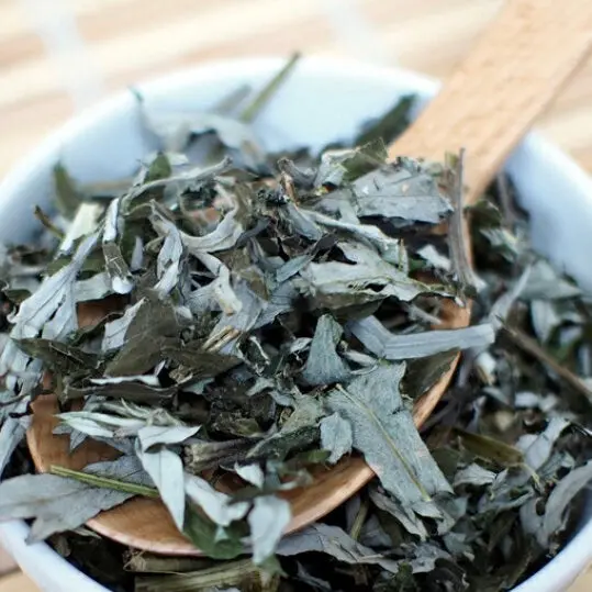 Yomogi-Cha From Tokushima – Naturally Grown Japanese Mugwort Herbal Tea 1